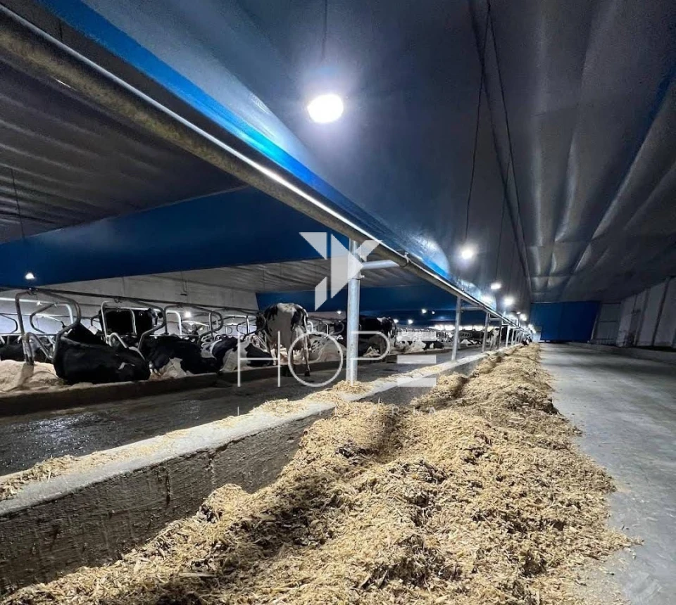 Imagens do imóveis Fazenda à venda 244.5 alqueires leiteria industrial e laticínio estruturado frente rodovia – região de Itapetininga – São Paulo