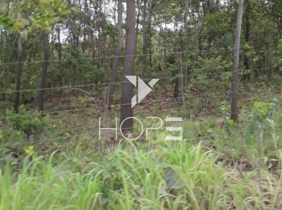 Imagens do imóveis Fazenda Dupla Aptidão - 112 Alqueires - Água Fria de Goiás GO - 542 Hectares - Boa de Água  - Eucalipto e Acácia