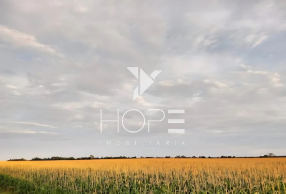 Imagens do imóveis Fazenda à venda 19.000 hectares agricultura mecanizada – município de Regeneração – Piauí