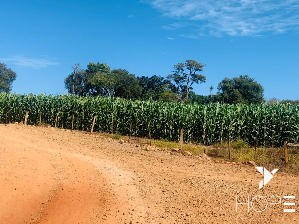 Imagens do imóveis Fazenda à Venda – 84 Alqueires – Sertanópolis/PR