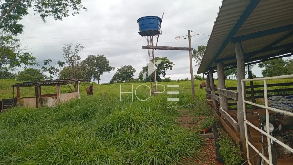 Imagens do imóveis Fazenda à venda com 54 alqueires - renda com cana - mansão de luxo - dupla aptidão - próximo a Uruanã GO