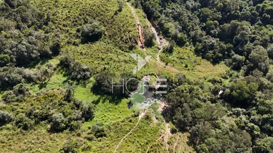 Imagens do imóveis Fazenda à venda com 48.25 alqueires - agricultura e pastagem - frente para o asfalto - São Miguel Arcanjo SP