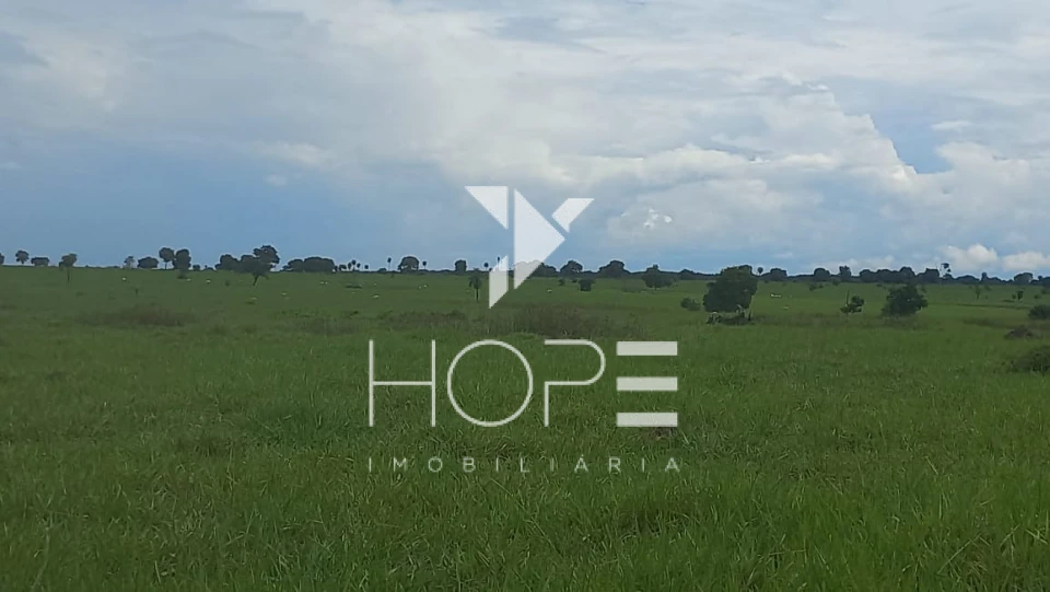 Imagens do imóveis Fazenda à Venda em Mundo Novo – 930 Alqueires – Dupla Aptidão – 47 Divisões de Pasto – Estrutura Completa de Pecuária