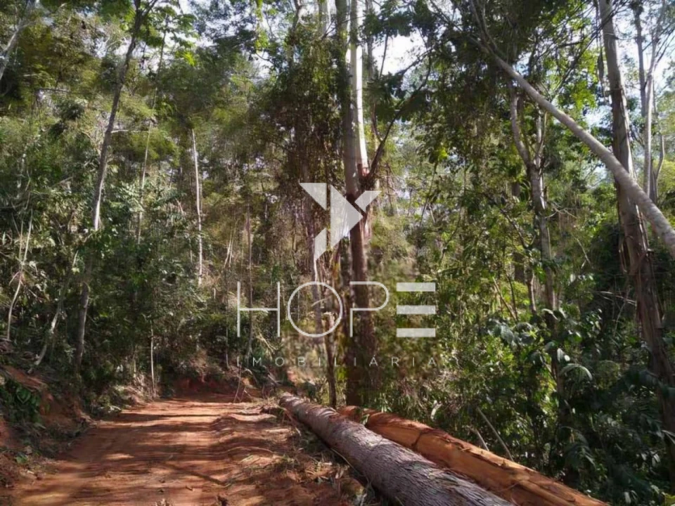 Imagens do imóveis Fazenda Produtiva à Venda - Santa Maria Madalena RJ - 456 Hectares - 146 Alqueires