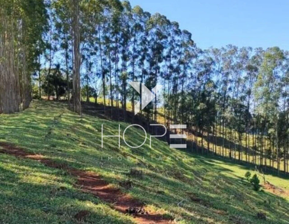 Fazenda à venda na região de Botucatu/SP – 119,5 alqueires – Rica em água