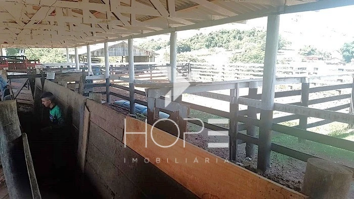 Imagens do imóveis Fazenda Porteira Fechada à Venda – 355 Alqueires – Nova Tebas/PR – Pecuária Montada (Nelore) – Estrutura Completa