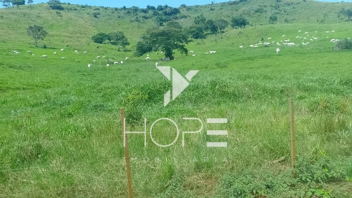 Imagens do imóveis Fazenda Porteira Fechada à Venda – 355 Alqueires – Nova Tebas/PR – Pecuária Montada (Nelore) – Estrutura Completa