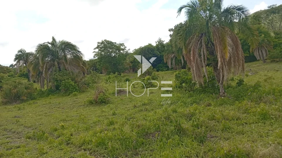 Imagens do imóveis Fazenda à venda com 72 alqueires - 55 em pasto - pronta - curral completo - região de Morro Agudo - Faina GO