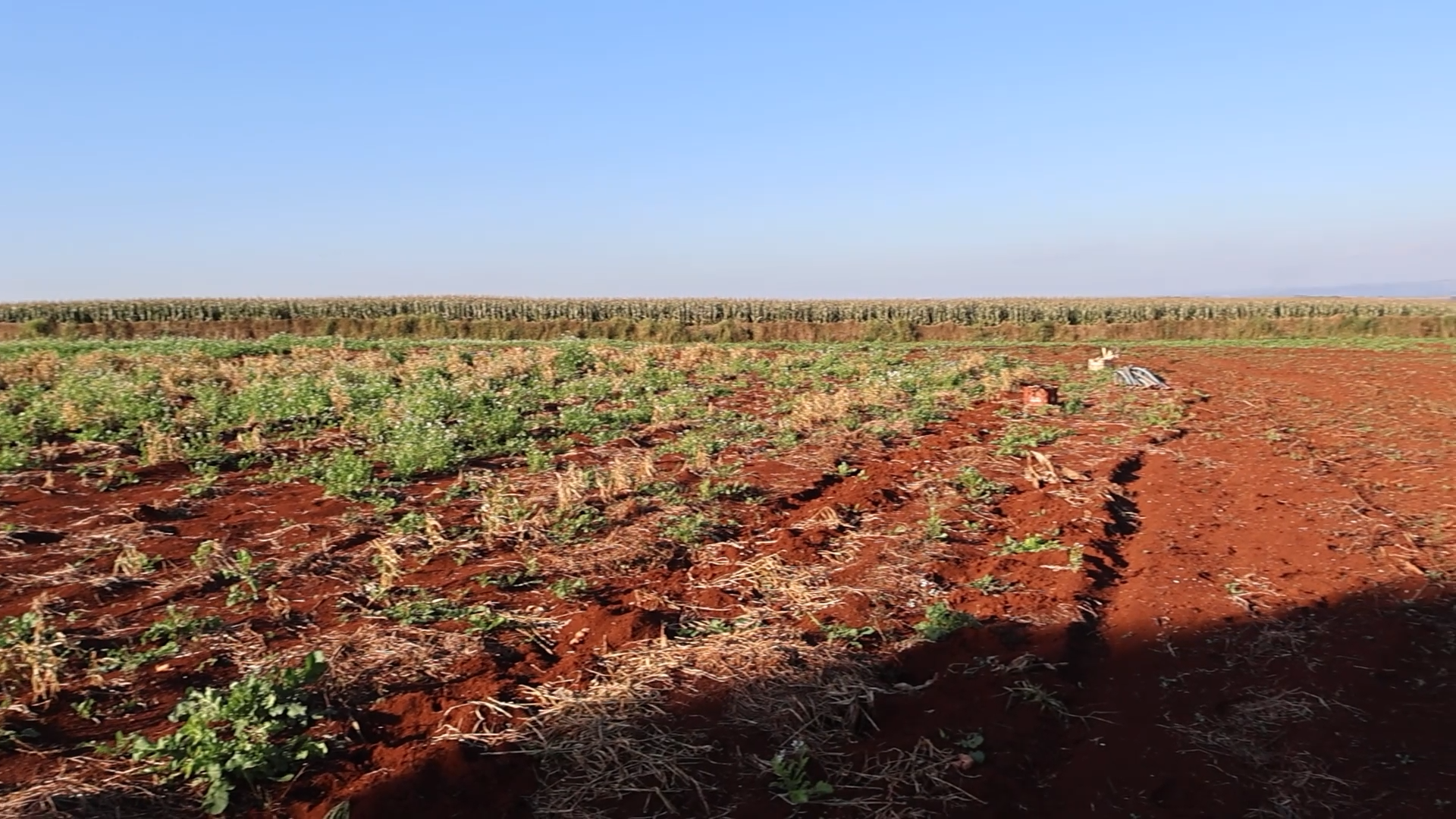 Imagens do imóveis TERRENO INDUSTRIAL DE 42.000 m² EM TAMARANA
