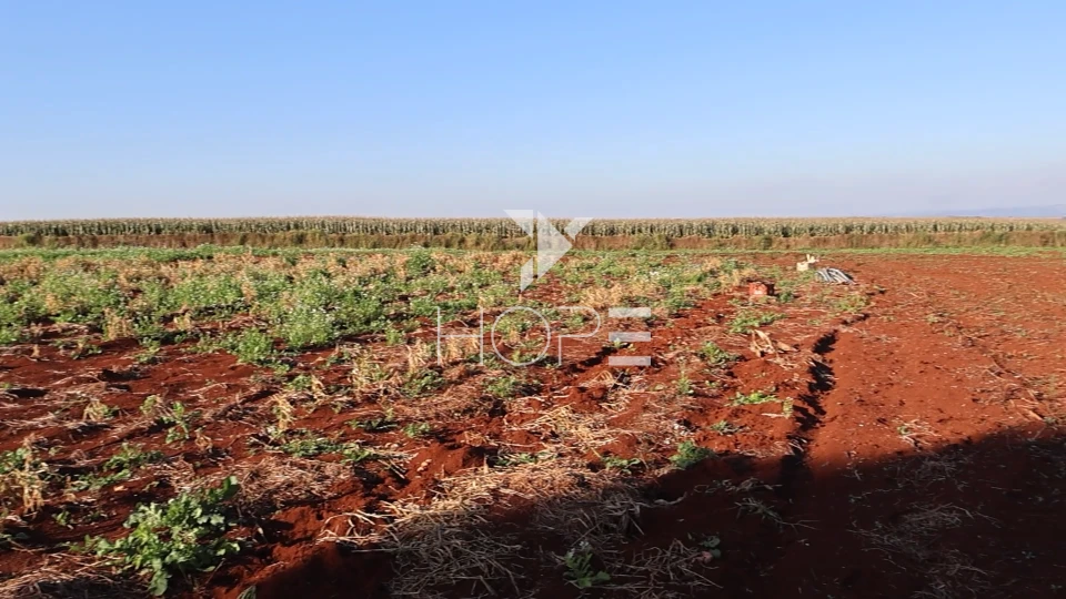 Imagens do imóveis Terreno industrial à venda com 42.000m² - frente para rodovia - Lotes fracionável - Tamarana PR