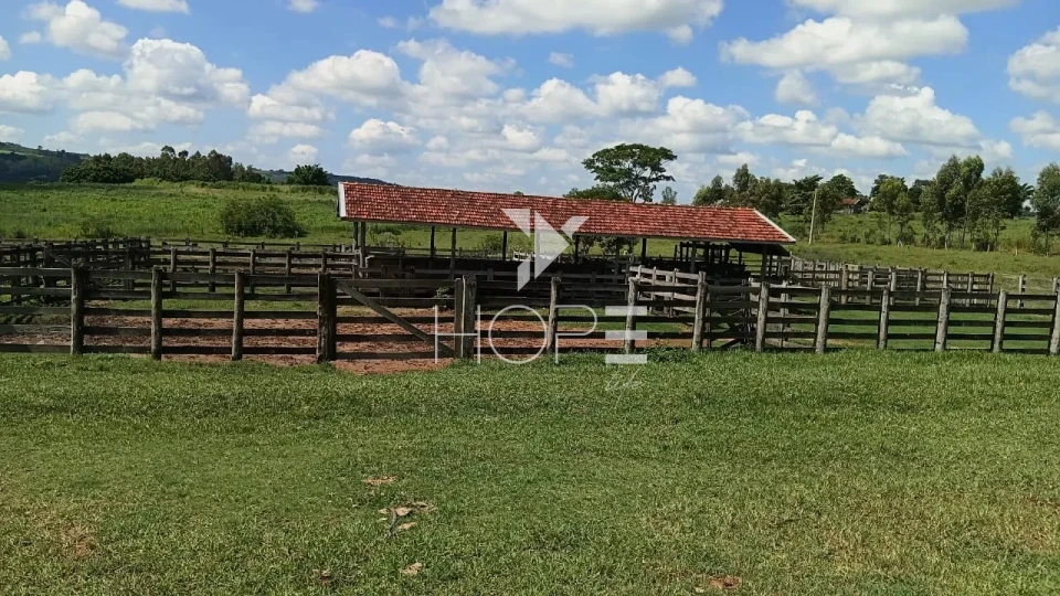 Imagens do imóveis Fazenda à venda com 204.5 alqueires - pecuária bovina - estrutura completa - região de Marília SP
