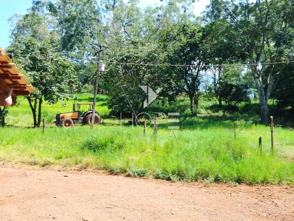 Fazenda à venda com 76 alqueires - pecuária com potencial agrícola - Guaravera - Londrina PR