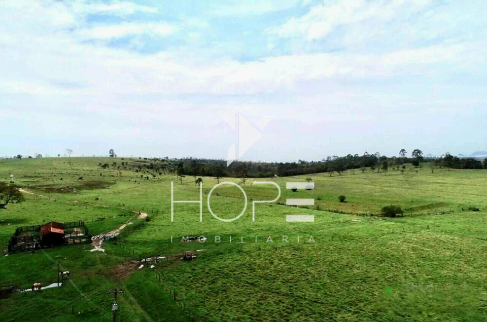 Fazenda à Venda na Região de Botucatu/SP – 294 Alqueires com Frente para a Rodovia Castelo Branco