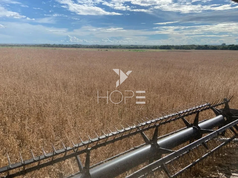 Imagens do imóveis Fazenda à venda com 33.000 hectares - agricultura em larga escala - estrutura completa - pista de pouso - Primavera do Leste MT