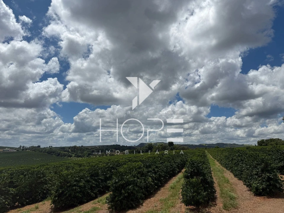 Imagens do imóveis fazenda cafeeira à venda 640 hectares irrigada – município de São Sebastião do Paraíso – Minas Gerais