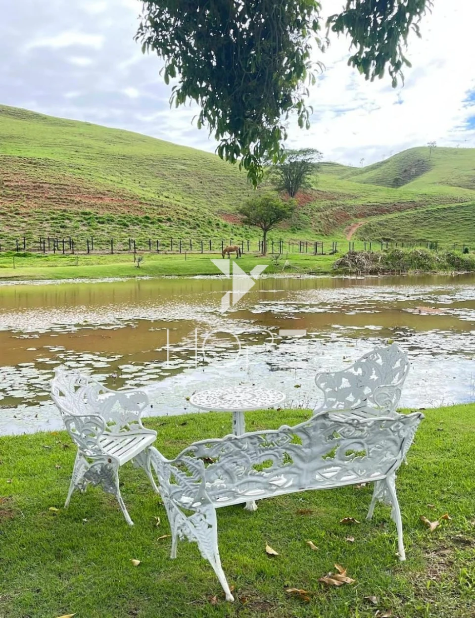 Imagens do imóveis Fazenda à venda 330 Alqueires – agricultura e pecuária estrutura completa – Vale do Paraíba – São Paulo
