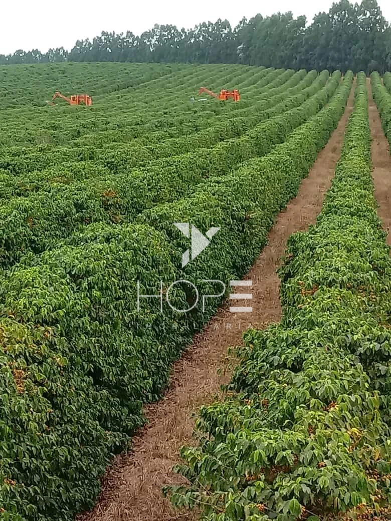 Imagens do imóveis fazenda cafeeira à venda 970 hectares produção de exportação – município de Capelinha – Minas Gerais