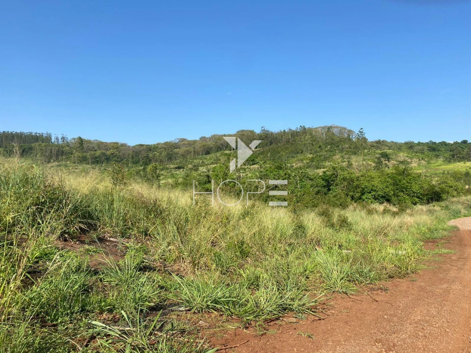 Imagens do imóveis Fazenda à venda com 31.5 alqueires - Estrutura Completa para Lavoura e Gado - Apucarana PR