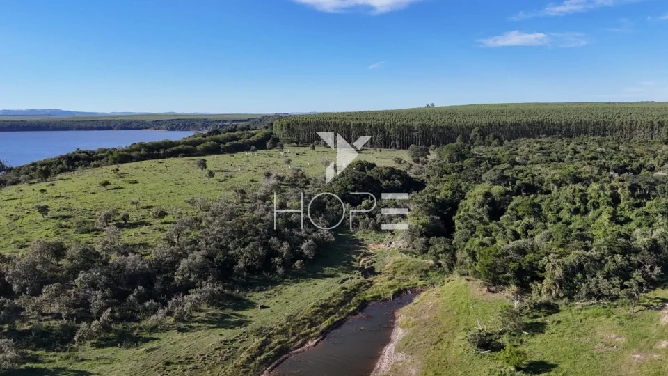 Imagens do imóveis Fazenda à venda com 148 alqueires - eucalipto e pastagem - margem para represa - Paranapanema SP