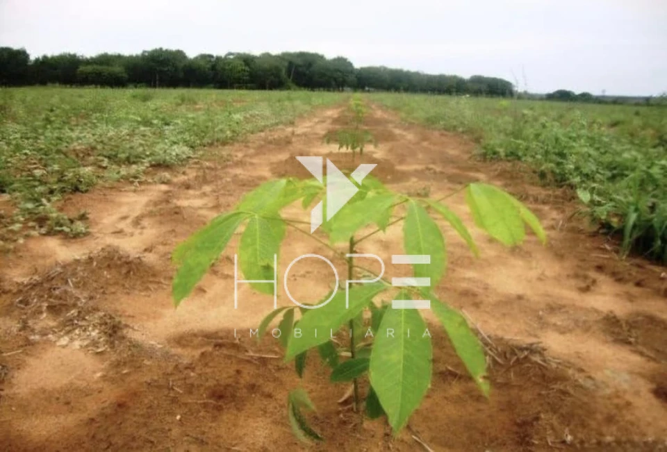 Imagens do imóveis Fazenda de 3.512 Alqueires à Venda – Muricilândia/TO – Estrutura Completa e Alta Capacidade Pecuária