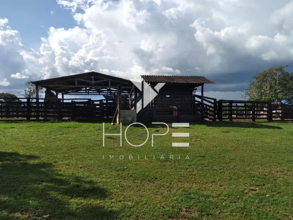 Fazenda à Venda – 1.033 Alqueires – Região de Peixe/TO – Dupla Aptidão