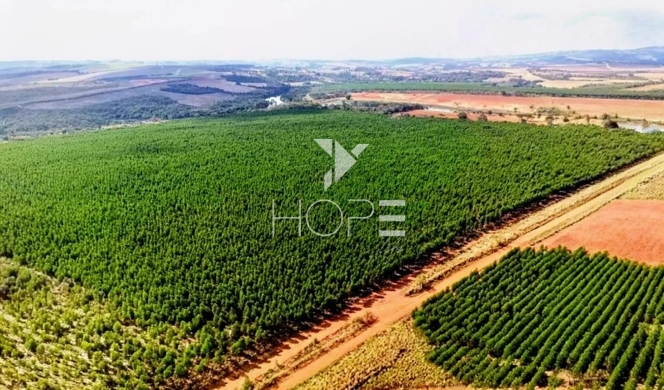 Imagens do imóveis Fazenda à venda com Eucalipto 321 alqueires - 777 hectares - arrendada Para Suzano - beira Rio Tietê - Itu SP