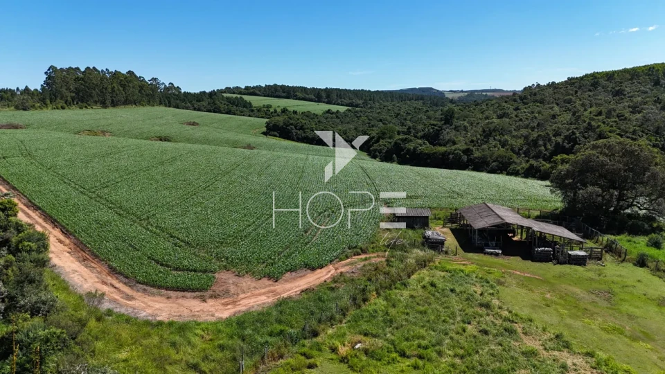 Imagens do imóveis Fazenda à venda com 75 alqueires (181.5 hectares) - agricultura e eucalipto - São Miguel Arcanjo SP