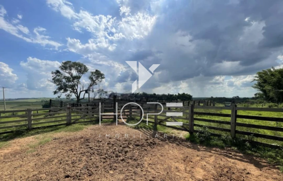 Imagens do imóveis Fazenda à Venda Proximo a Marília/SP – 146 Alqueires – 90% Aproveitamento – Rica em Água