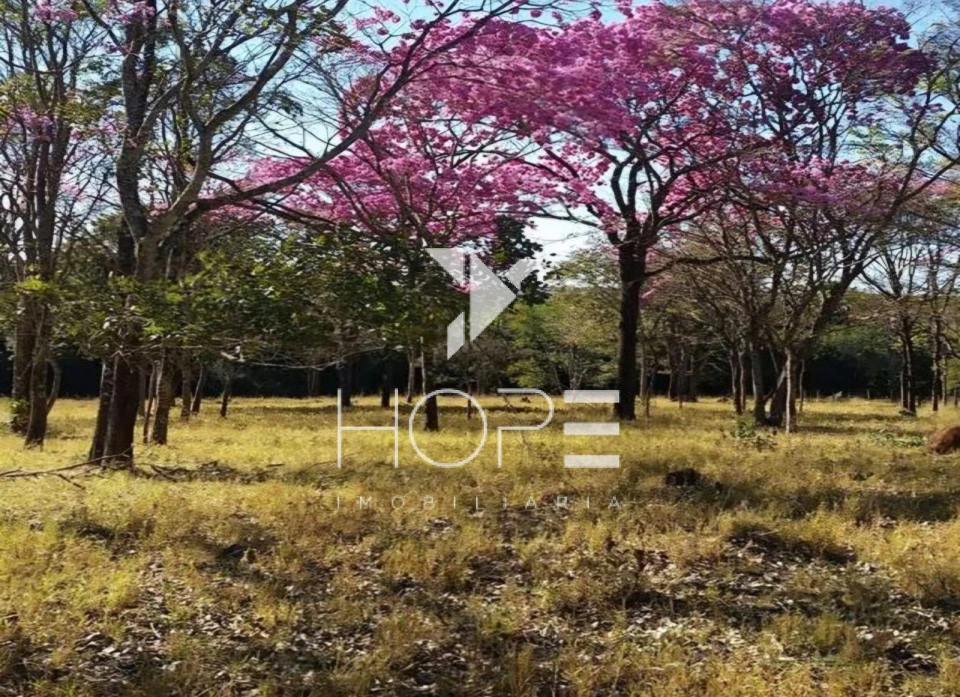 Imagens do imóveis Fazenda à Venda - 19 Alqueires - Dupla Aptidão - Região de Prata MG - Entre Prata e Uberlândia - Triângulo Mineiro