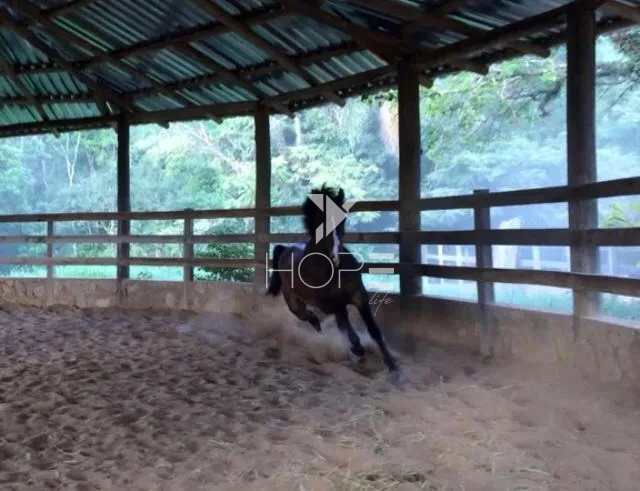 Imagens do imóveis Haras de alto padrão à venda com 7 alqueires - 36 baias - 26 piquetes - São Roque SP