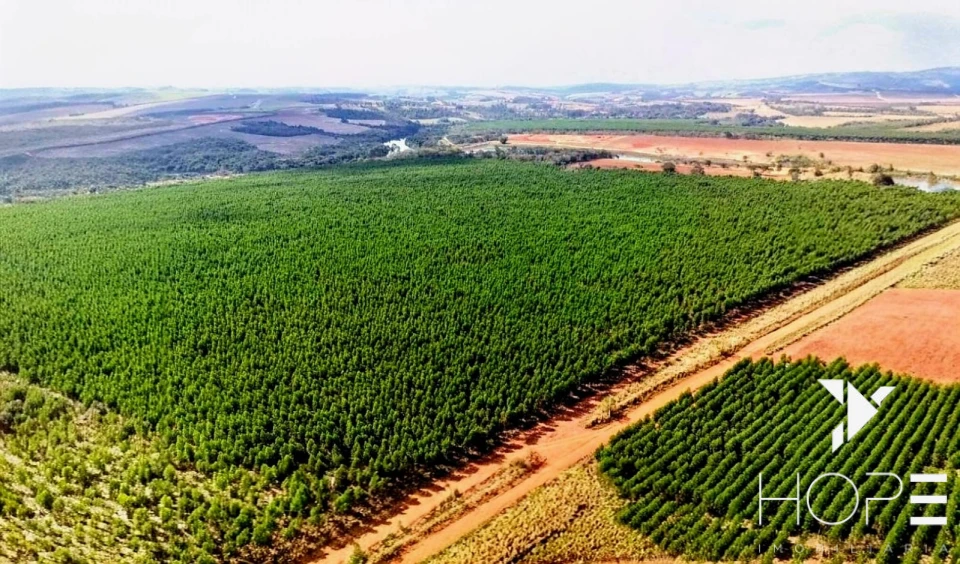 Fazenda com Eucalipto à Venda em Itu/SP – Renda Garantida com Arrendamento à Suzano