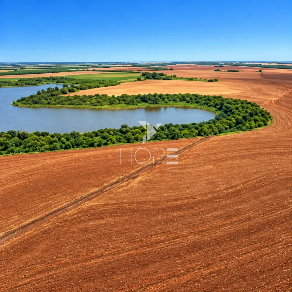 Imagens do imóveis Fazenda/Sítios/Chácaras À Venda Zona Rural Sertaneja
