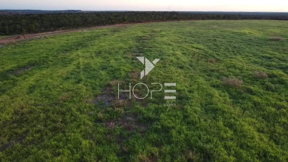 Imagens do imóveis Fazenda à venda 397 alqueires dupla aptidão com lavoura em formação – Tocantins – região de Palmas