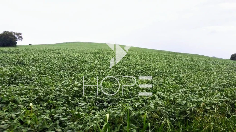 Imagens do imóveis Fazenda à Venda – 213 Alqueires – Jauru – Tomazina PR