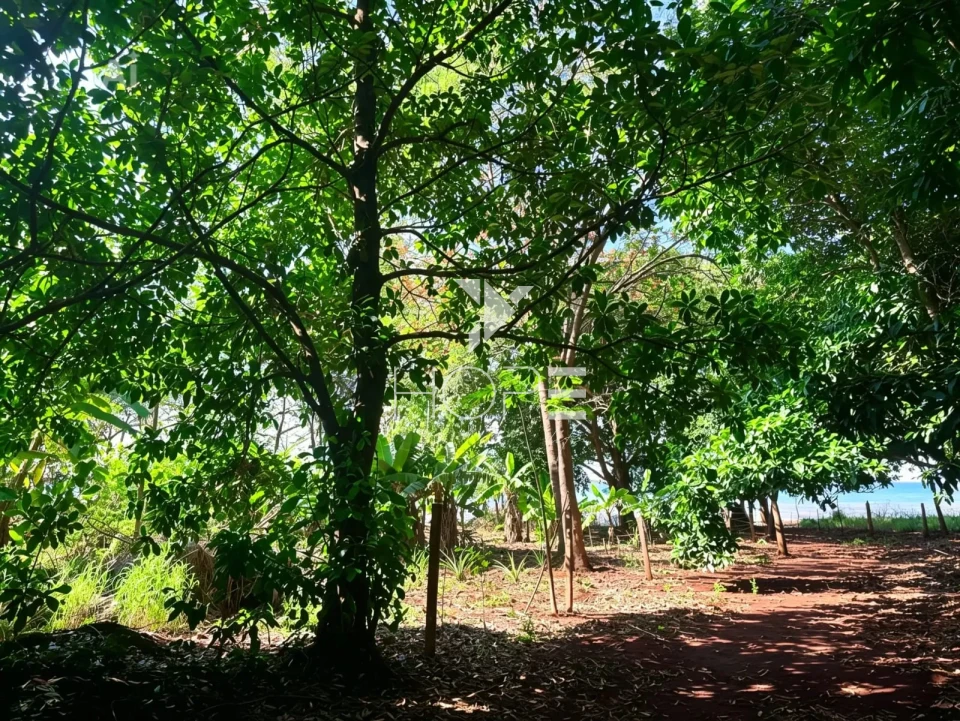 Imagens do imóveis Chácara molhada à venda - 3 quartos - 2 suítes - acesso à água - Alvorada do Sul PR