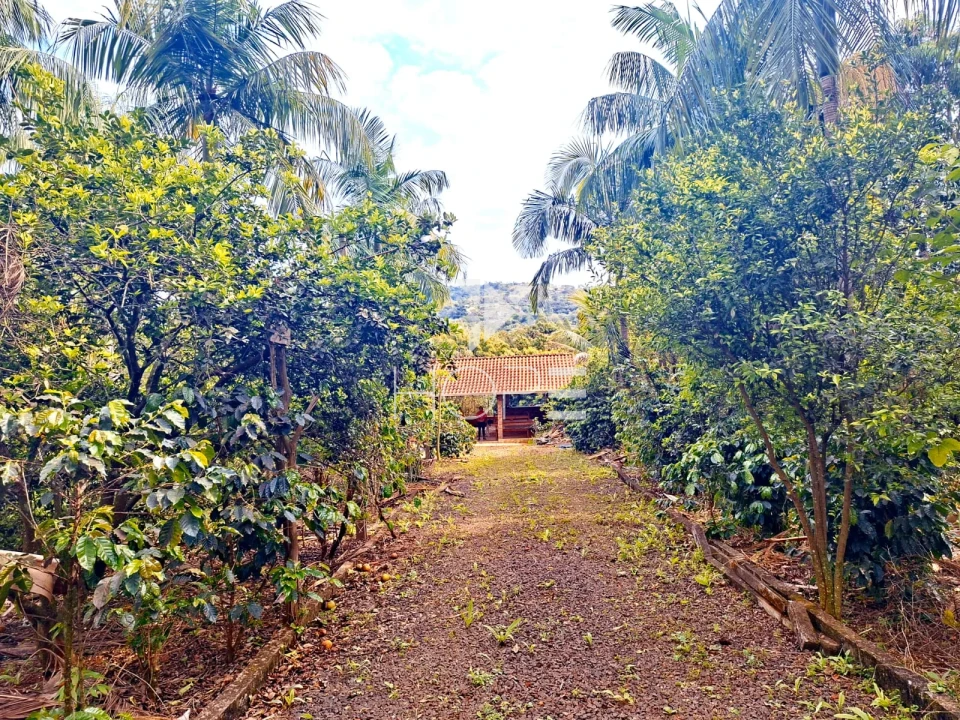 Imagens do imóveis Chácara à venda com 9.200 m² - casa com 180 m² - Estrada do Limoeiro - Londrina PR