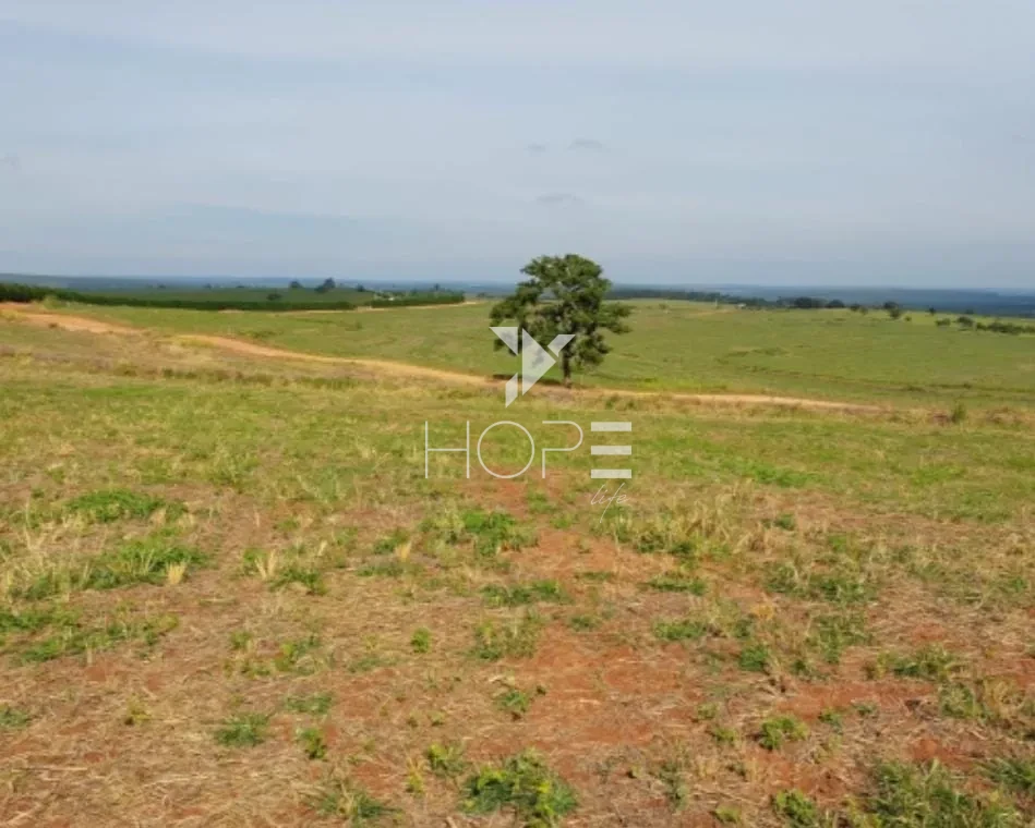 Imagens do imóveis Fazenda à Venda - Solo Misto – 174,24 Hectares – Bauru/SP