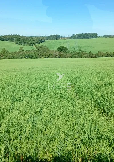 Imagens do imóveis Fazenda de Terra Roxa à Venda - 25km da Cidade – 130 Alqueires – Curiuva/PR