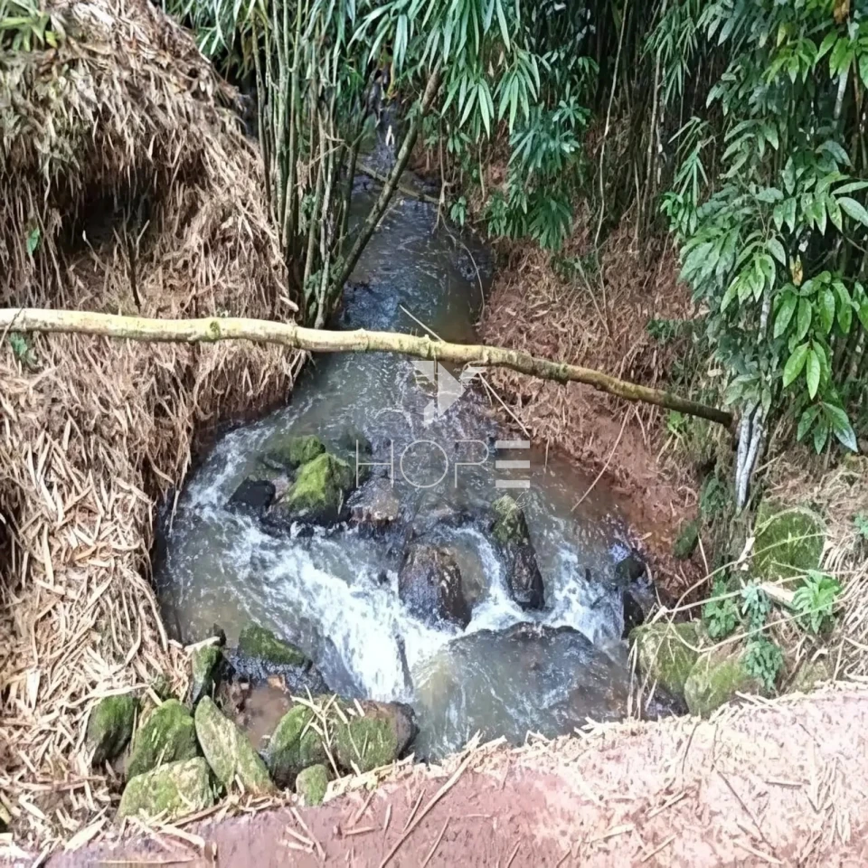 Imagens do imóveis Fazenda à Venda em Região Turistica – 282,50 Hectares – São João Del Rei/MG