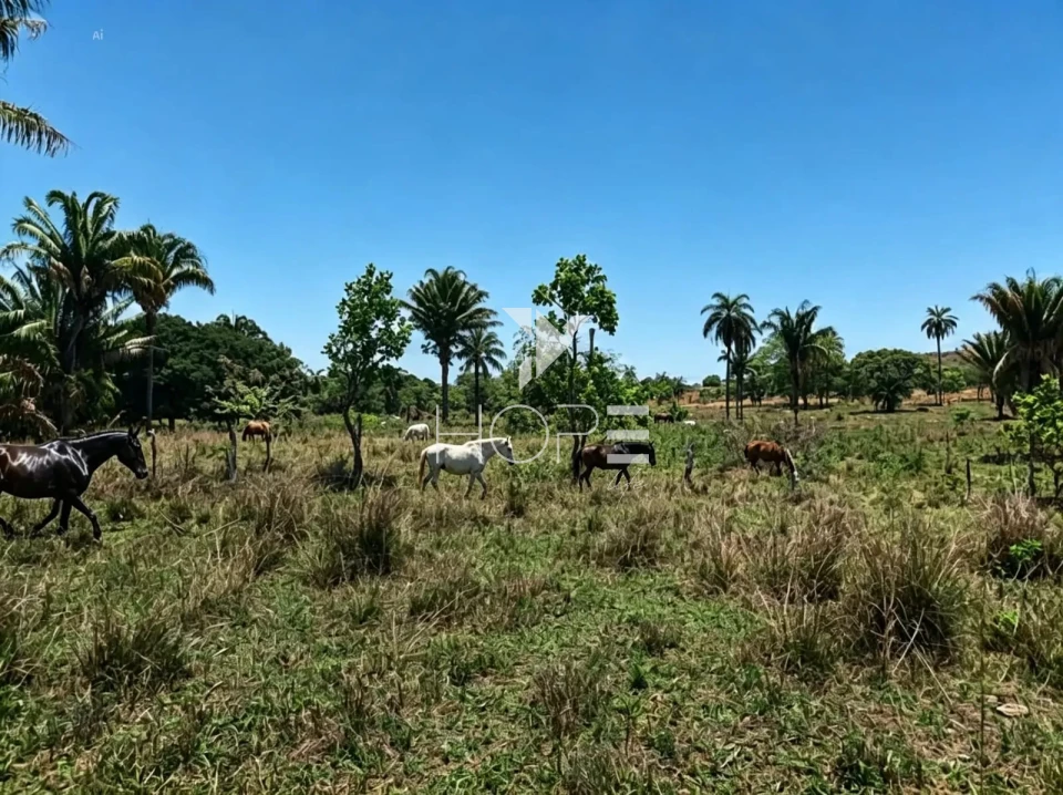 Fazenda à Venda com Aptidão Pecuária – 364 Hectáres – Três Marias/MG