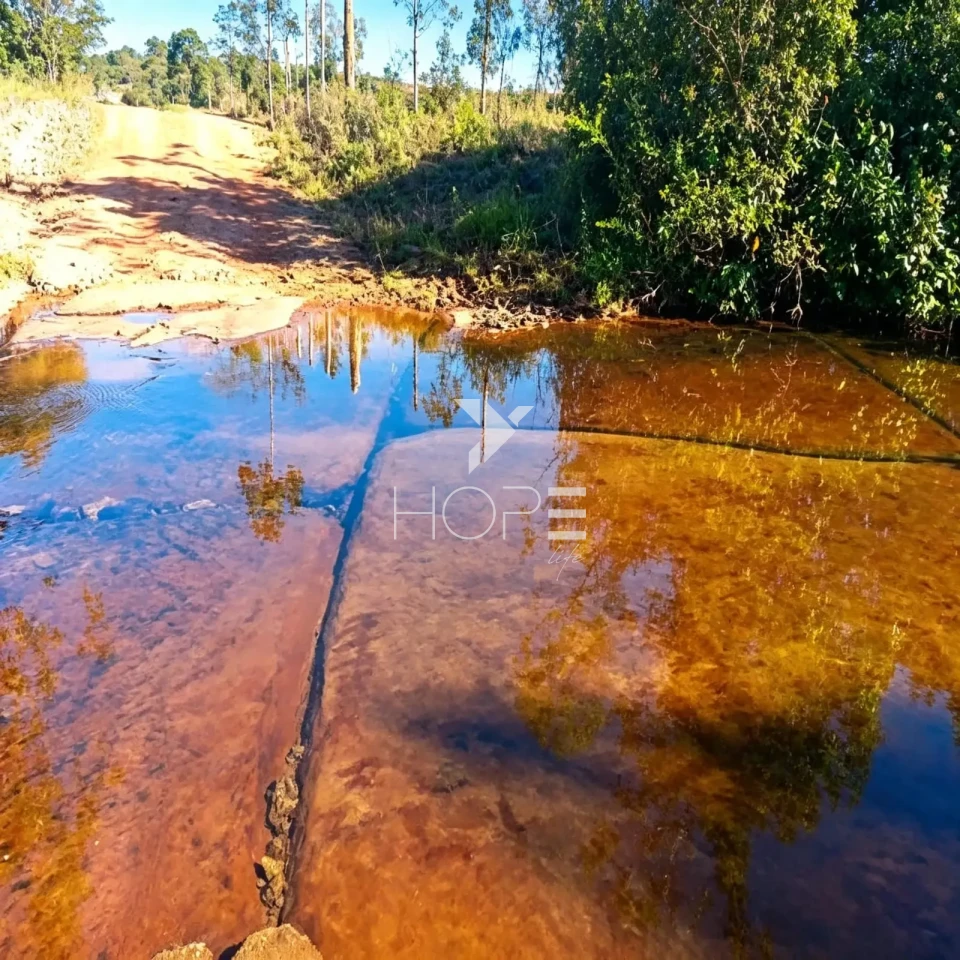 Fazenda à Venda com Aptidão Pecuária e Florestal – 513 Hectares – Brasilândia de Minas/MG