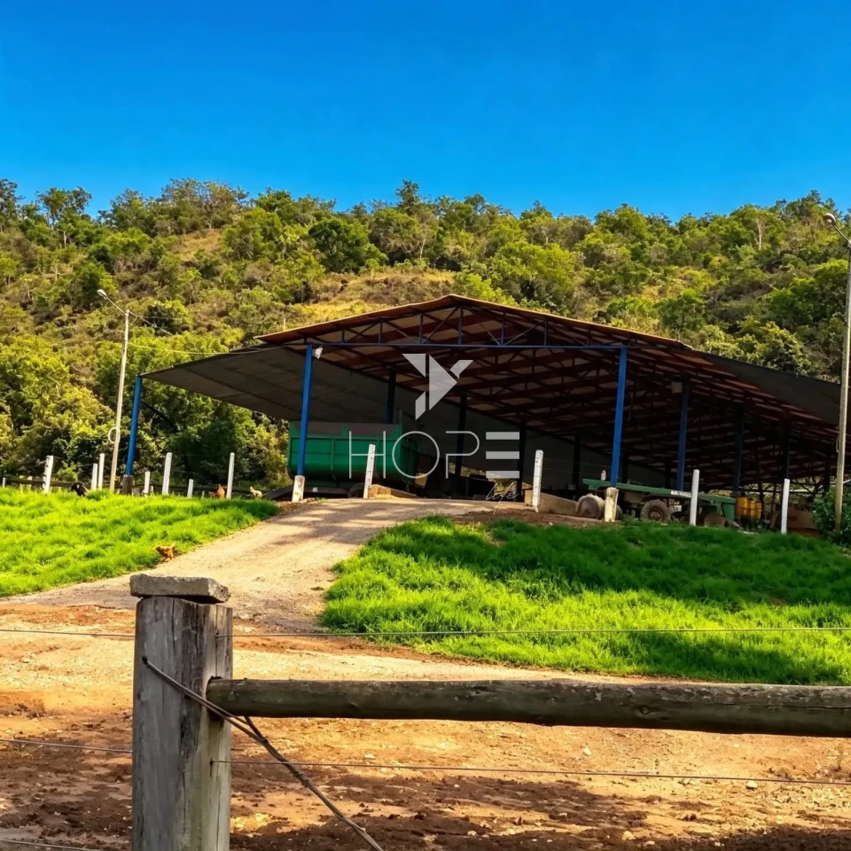 Imagens do imóveis Fazenda à Venda - Complexo Agroindustrial Completo – 181 Hectares – Jequitibá/MG