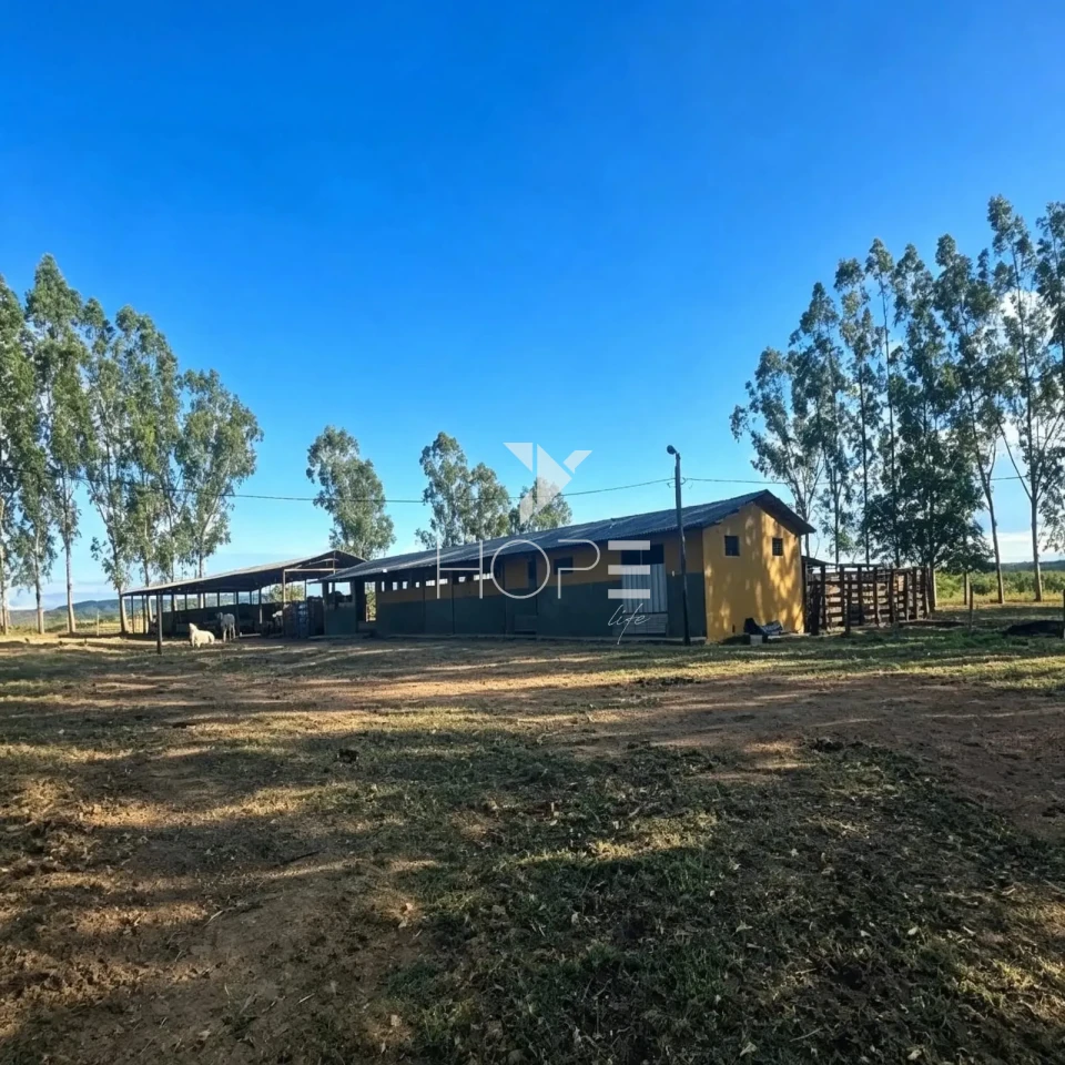 Imagens do imóveis Fazenda à Venda - Pecuária – 163 Hectares – Buenópolis/MG