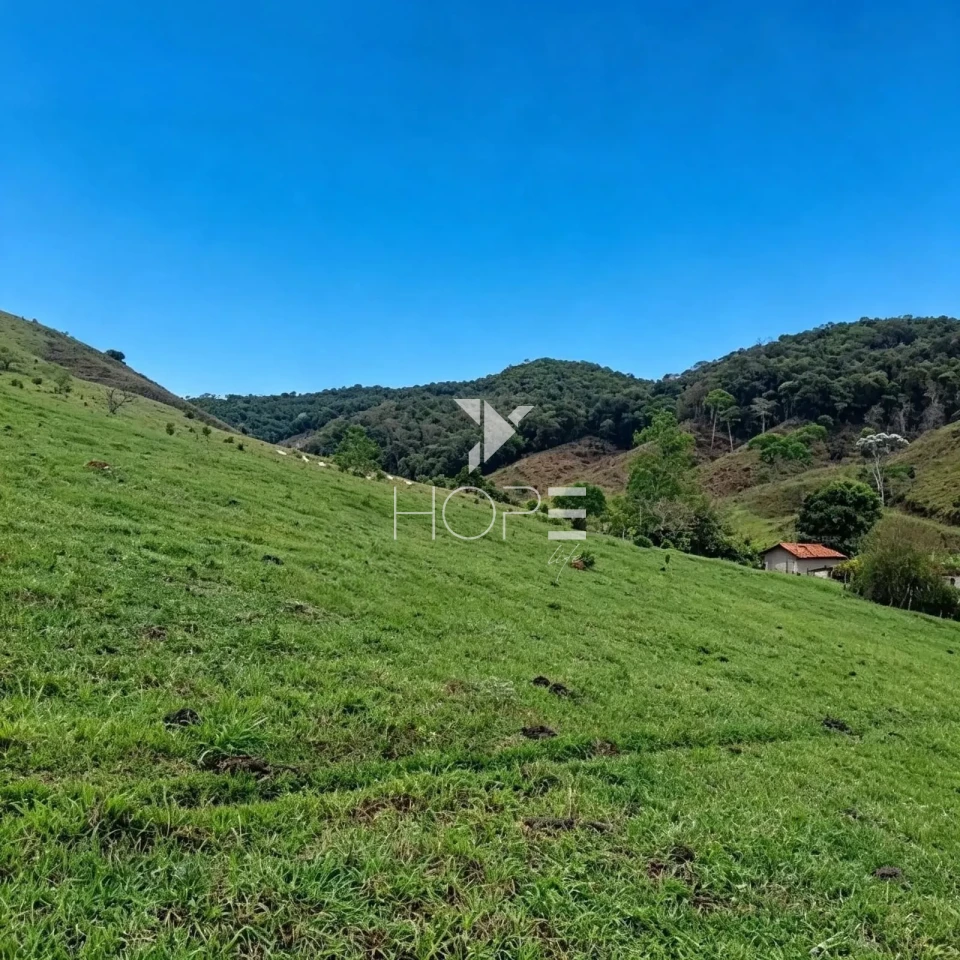 Imagens do imóveis Fazenda à Venda com Infraestrutura Completa – 294,30 Hectares – Carmésia/MG