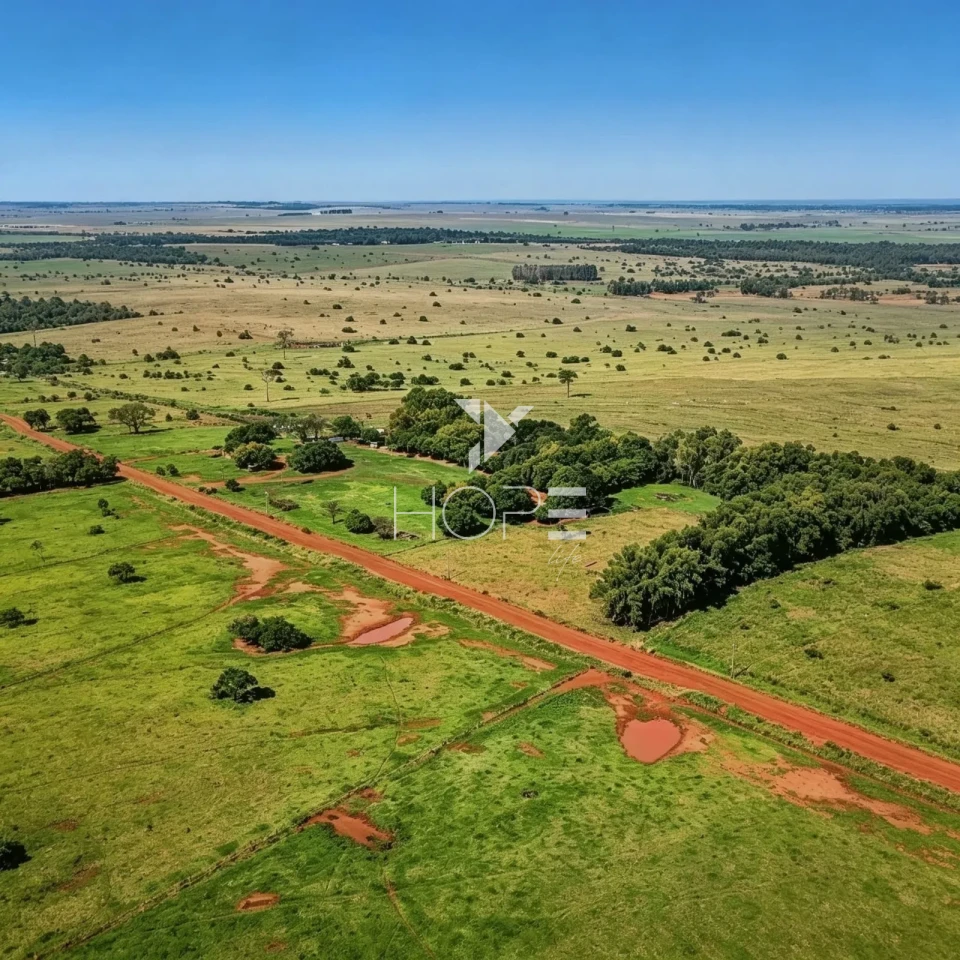 Imagens do imóveis Fazenda à Venda com Aptidão Pecuária - Topografia Plana – 560 Alqueires – Rosana/SP - Fronteira SP - PR - MS