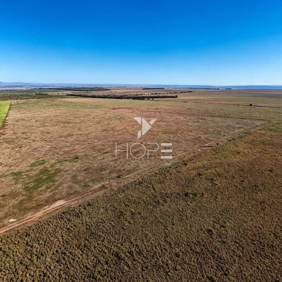 Imagens do imóveis Fazenda à Venda - Agricultura e Pecuária - Topografia Plana – 5.359 Hectares – Sonora – Sonora/MS