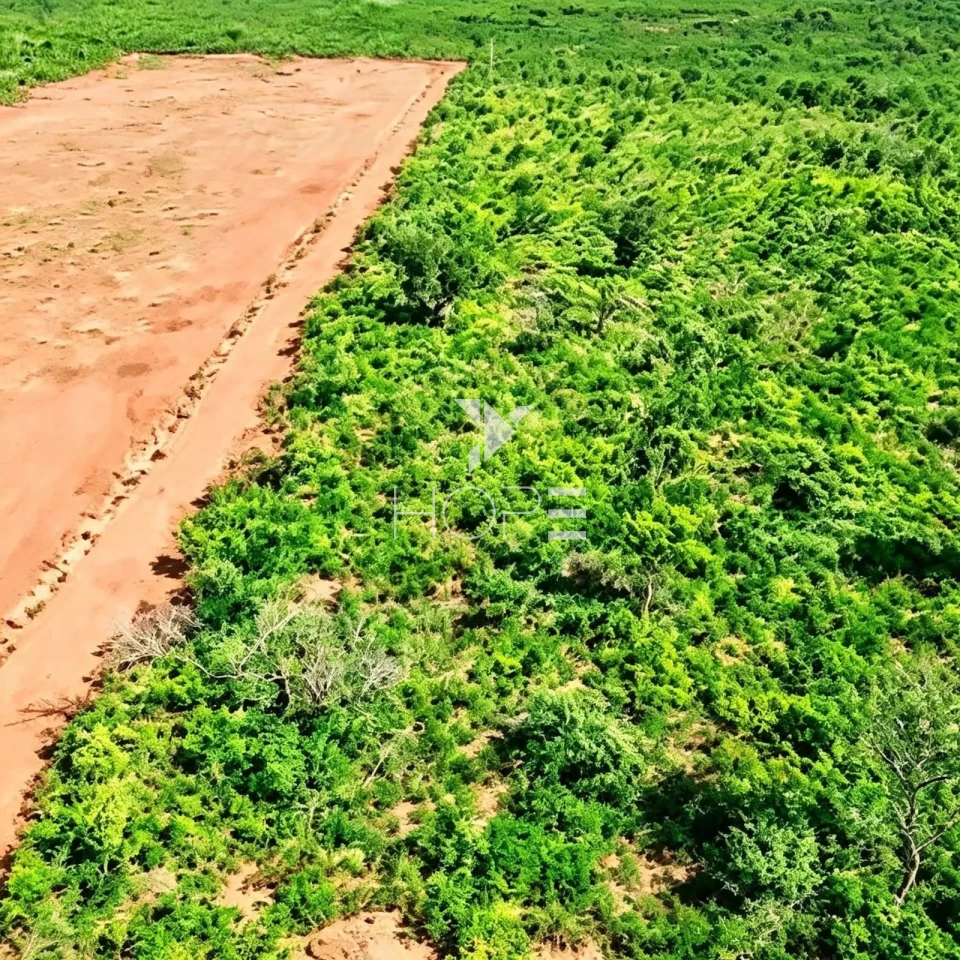 Mega Fazenda à Venda - Aptidão Agropecuária – 13.000 Hectares – Tocantins 