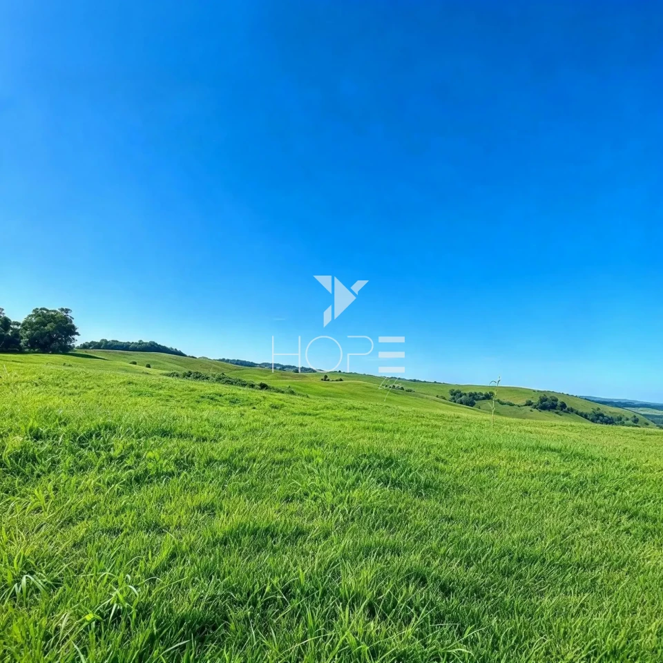 Imagens do imóveis Fazenda à Venda com Dupla Aptidão - Pecuária e Agricultura – 495 Alqueires – Francisco Beltrão – Francisco Beltrão/PR