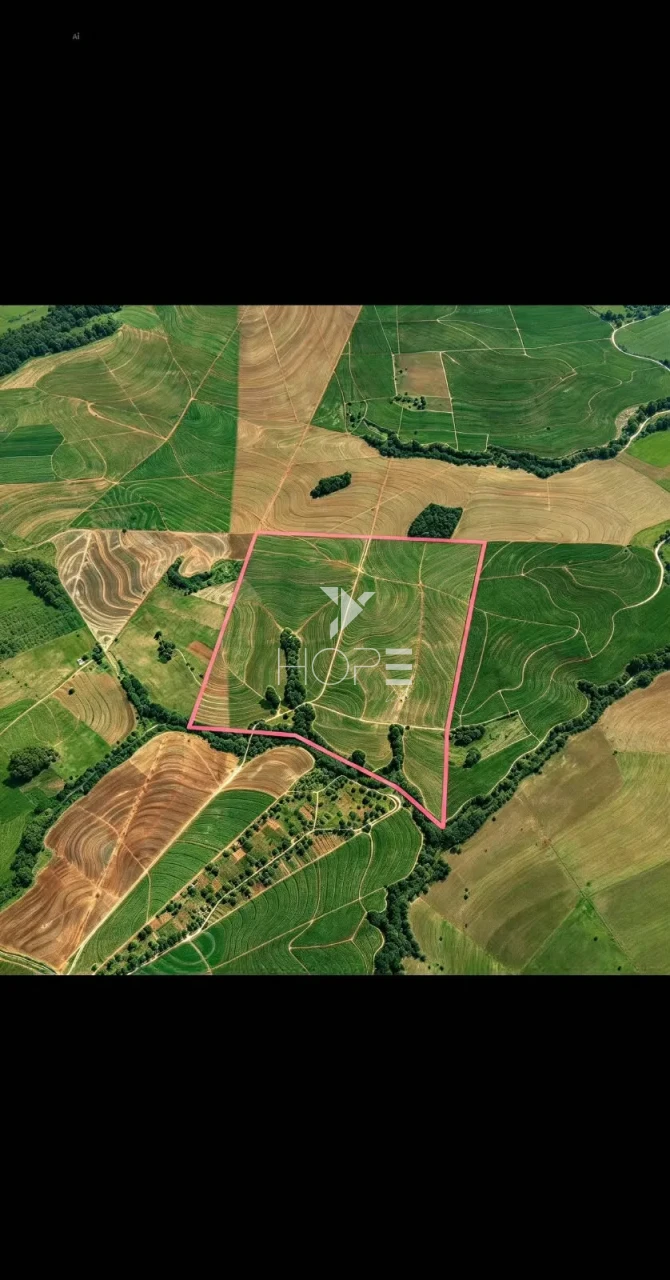 Imagens do imóveis Fazenda à Venda – 100 Alqueires – Região da Usina Alto Alegre – Colorado/PR
