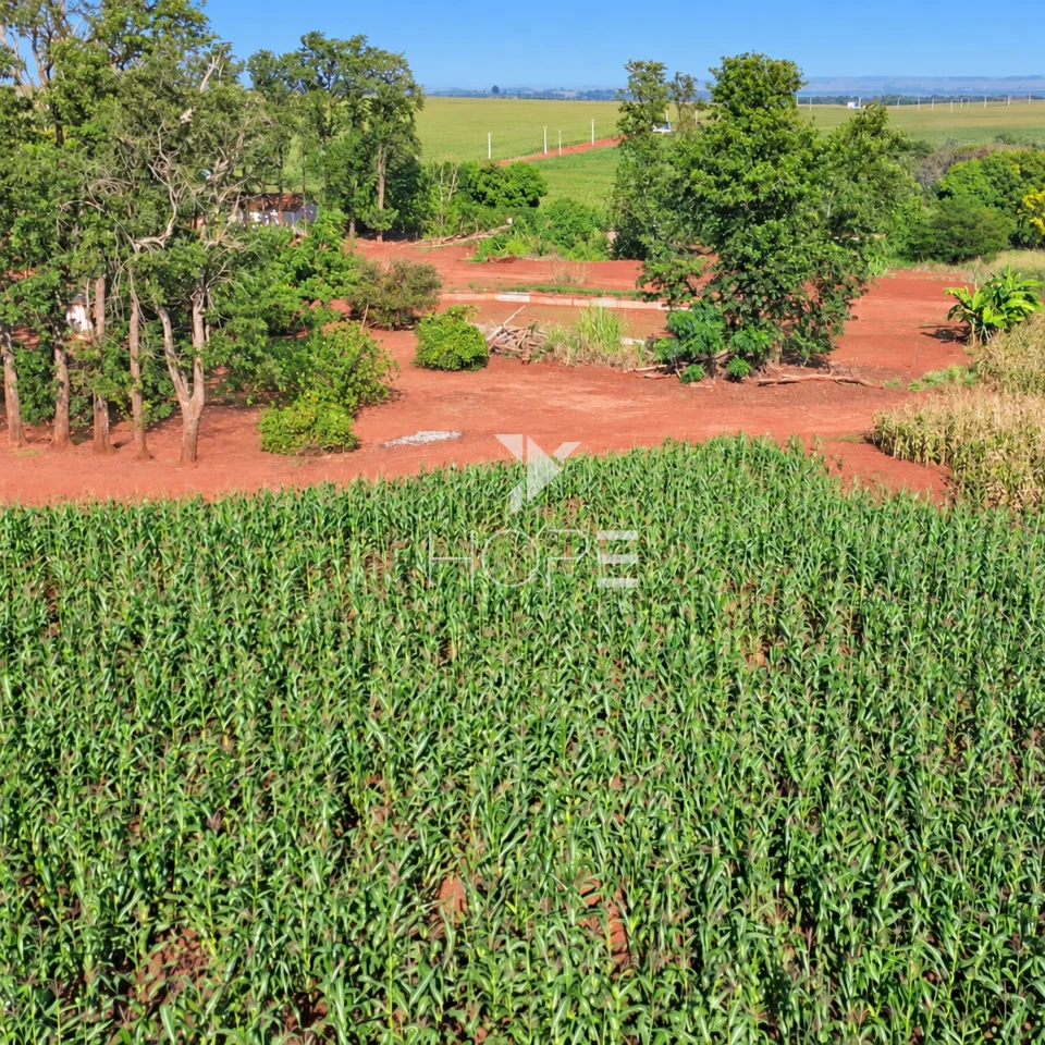Imagens do imóveis Fazenda á Venda - 755 Hectares - Frente para a Represa do Rio Tibagi - Sertaneja/PR